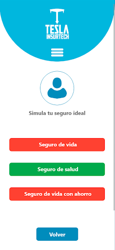 Tesla Insurtech Seguros Screen 2