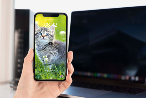 Cute Kitten Wallpapers HD