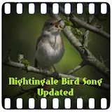 Nightingale Bird Song icon