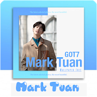 Mark Tuan  GOT7 - New Idol Wallpaper