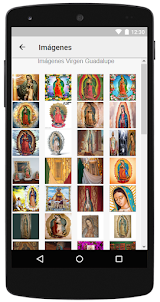 Imagenes de la Virgen de Guada