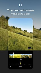 VSCO: Photo & Video Editor