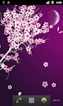 screenshot of Sakura Live Wallpaper