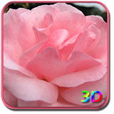 Rose Live Wallpaper 3D icon