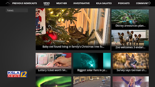 Screenshot of KSLA News 12