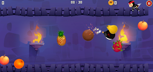 Ninja Slicer Screen 3
