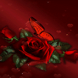 Dark Rose Butterfly LWP icon