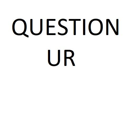 QUESTION UR logo