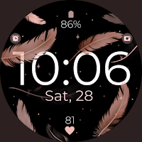 Feathers Rose Gold watch face