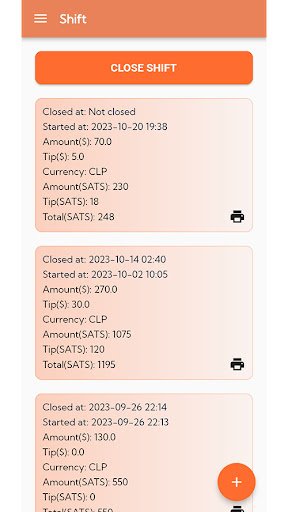 RodPay printer POS Screen 3