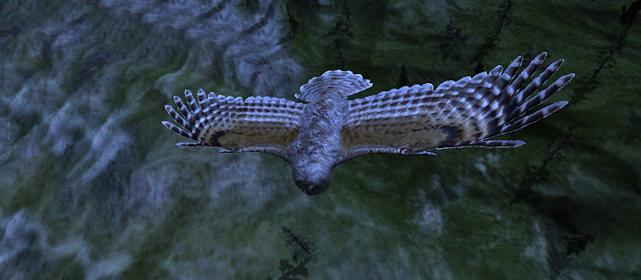 Owl Hunting Journey screenshots apk mod 5