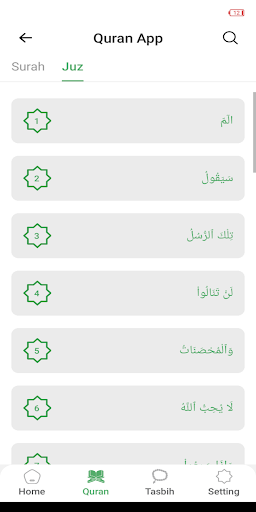 Islam Pro - Al-Quran and Prayers
