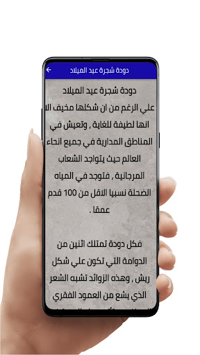 اغرب الكائنات البحرية