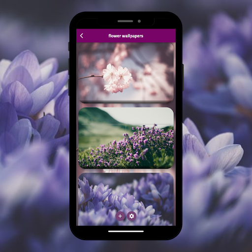 flower wallpaper Screen 2