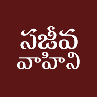Telugu Bible Commentary apk