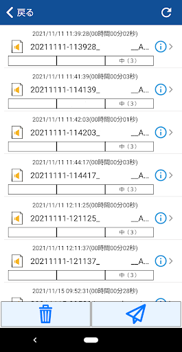 AmiVoice SF-Recorder Screen 3