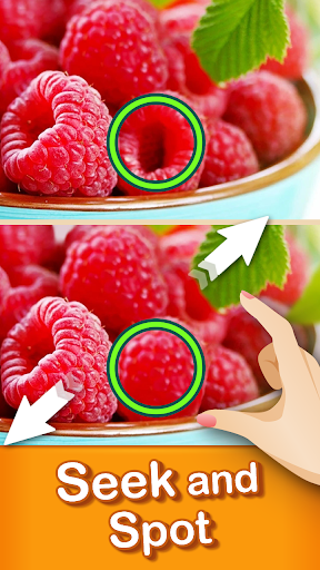 Find The Difference Journey