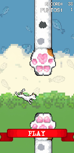 SweetCat 7
