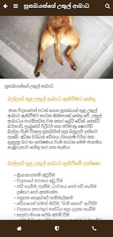 Pet Care Sinhalenのおすすめ画像5