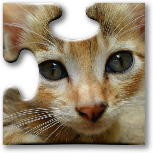 Cats Jigsaw Puzzles 2022.10.15 Icon
