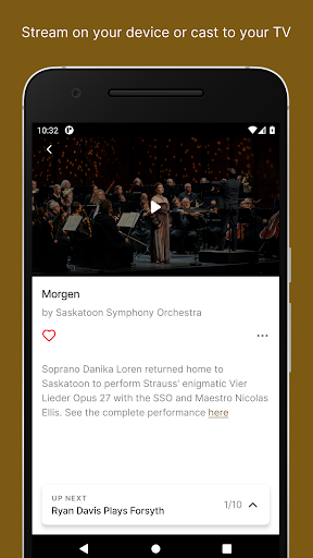 ConcertStream.tv Screen 3