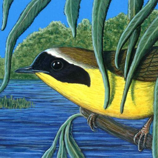 Nicole Perrettas Bird Calling logo