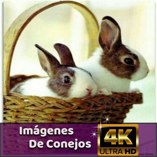 Imágenes de Conejos logo