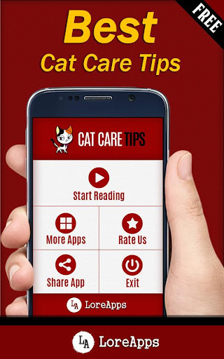 Cat Care Tips: Cat Names Screen 2