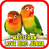 Suara Masteran Love Bird Juara icon