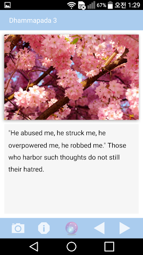 Dhammapada : Buddha Says Screen 3