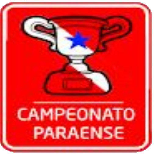 CLASSIFICAÇÃO GERAL do Campeonato Paraense 2023, campeonato paraense