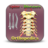 Orthopedics - Spine Diseases icon