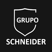 Grupo Schneider  Icon