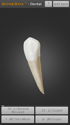 BoneBox™ - Dental Liteのおすすめ画像3