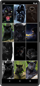 Captura 4 Fondos de panteras negras android