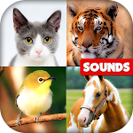 Cover Image of 下载 Animal Sounds: With Images  APK
