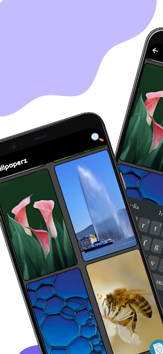 Android application WallpaperZ- get what you want screenshort
