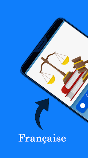 Constitution française