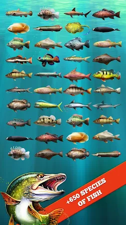 Game screenshot Let's Fish: Fishing Simulator apk download
