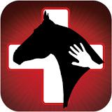 Horse Side Vet Guide icon