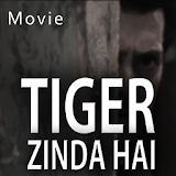 Movie video for Tiger Zinda Hai icon