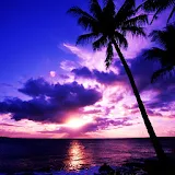 sunset beach icon
