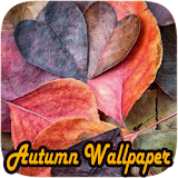 Beautiful Nature Autumn icon