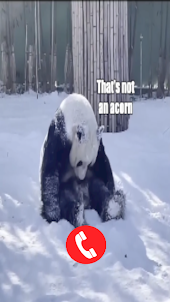 Panda Fake Video Call