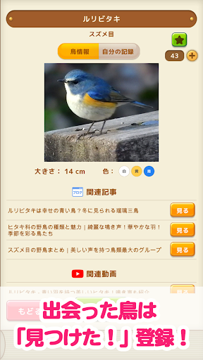 見つけた！野鳥図鑑 Screen 2