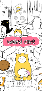 weird cat