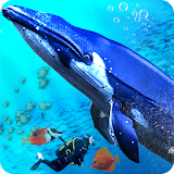 Blue Whale Ocean Simulator icon