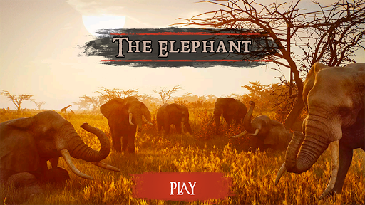 The Elephant 2