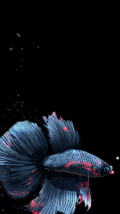 Betta Fish Live Wallpaper FREE 1.4 Screenshots 14