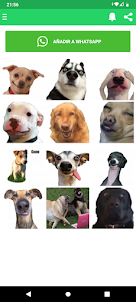 Stickers de perros graciosos